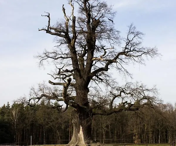 Kalten Eiche Gasthof 3*